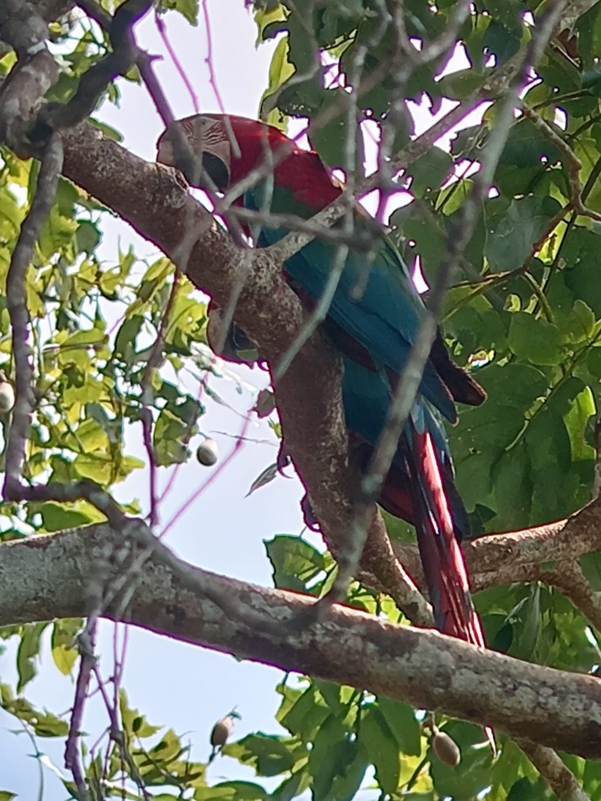 🌿 Territorio Ancestral Takarkunyal - Imagen 2