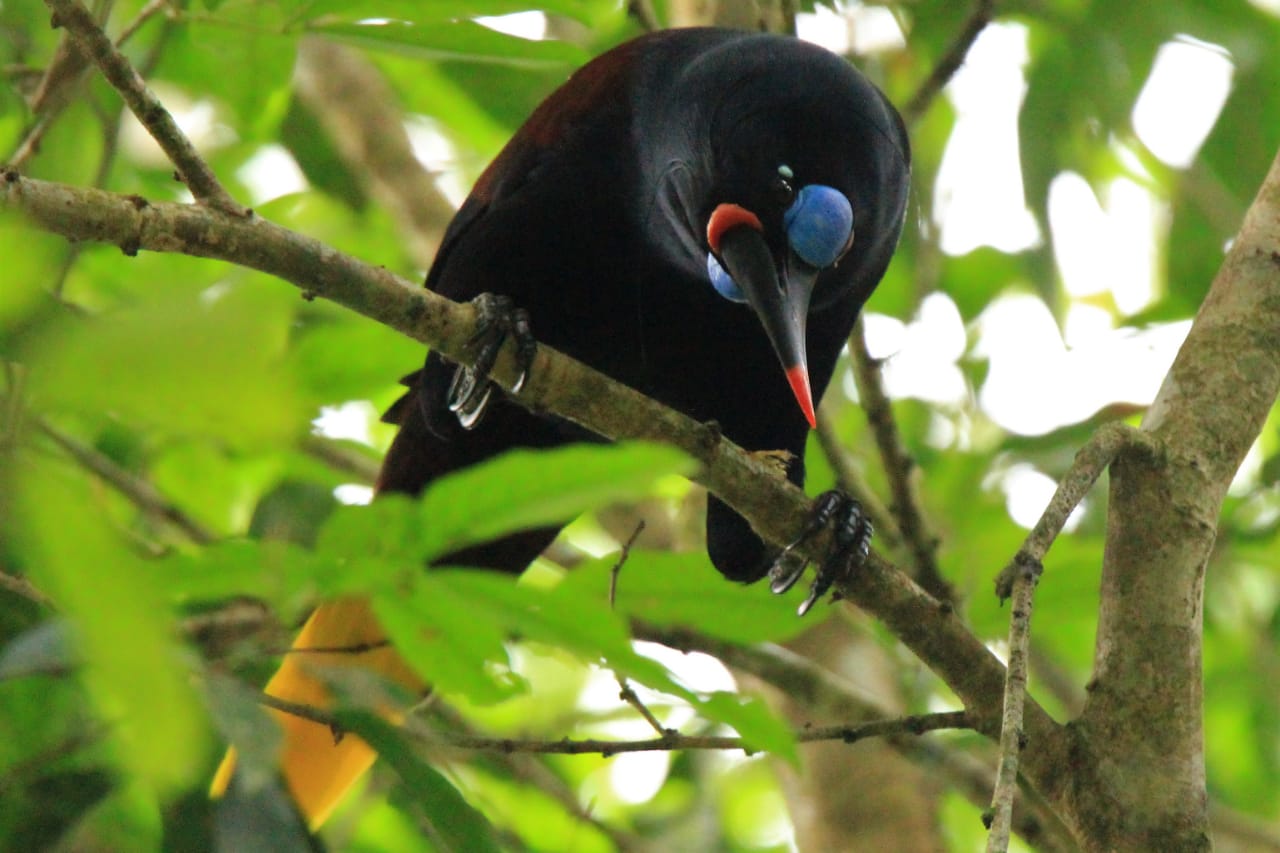 🌿 Territorio Ancestral Takarkunyal - Imagen 4