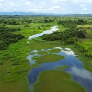 Humedales de Matusagaratí